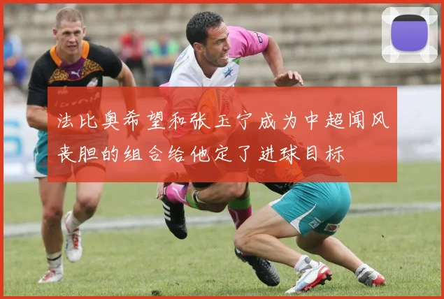 法比奥希望和张玉宁成为中超闻风丧胆的组合给他定了进球目标